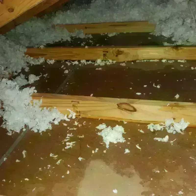 Attic Water Damage in Green, OH