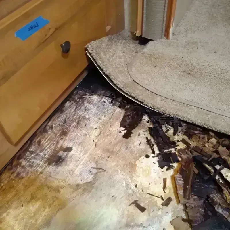 Wood Floor Water Damage in Green, OH